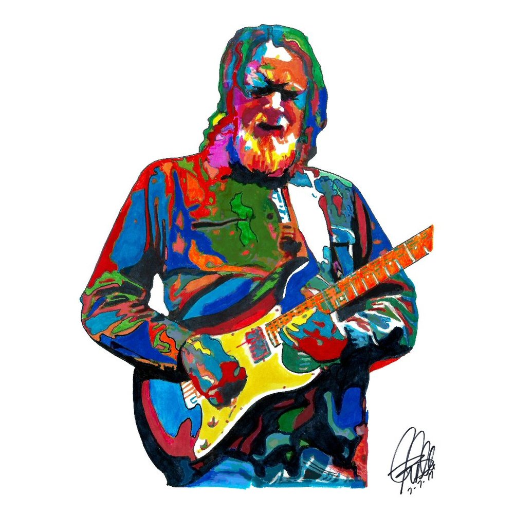Jimmy Herring Guitar Rock Music Poster Print Wall Art 18x24